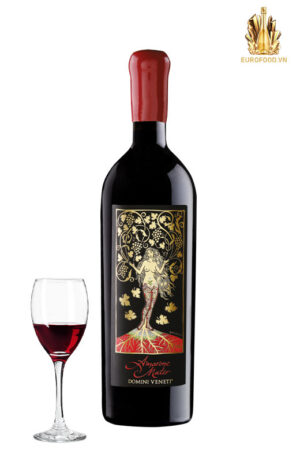 Amarone Mater – Dấu ấn tinh hoa của Domìni Veneti