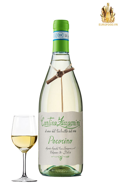 Cantina Zaccagnini Pecorino – Sắc Trắng Tươi Mát Của Abruzzo Cantina Zaccagnini Pecorino – Sắc Trắng Tươi Mát Của Abruzzo