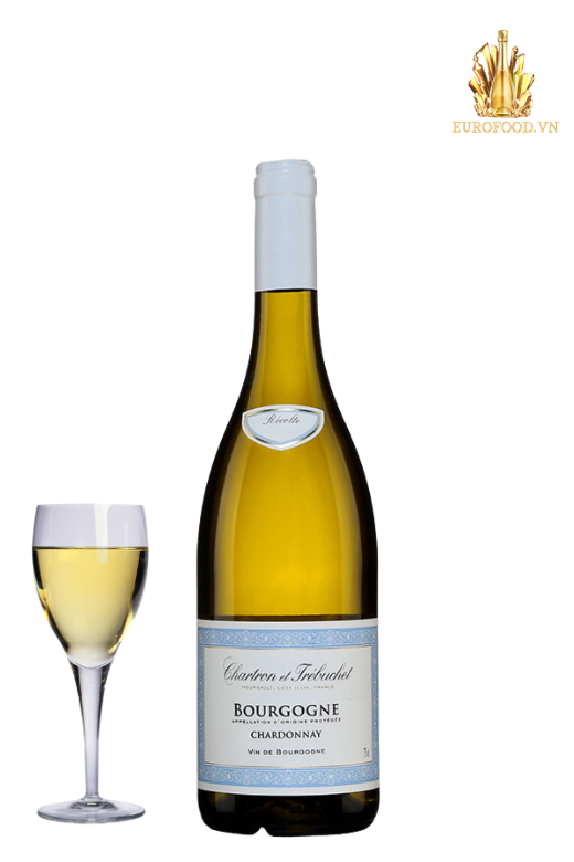 Chartron et Trébuchet Bourgogne Chardonnay 2022