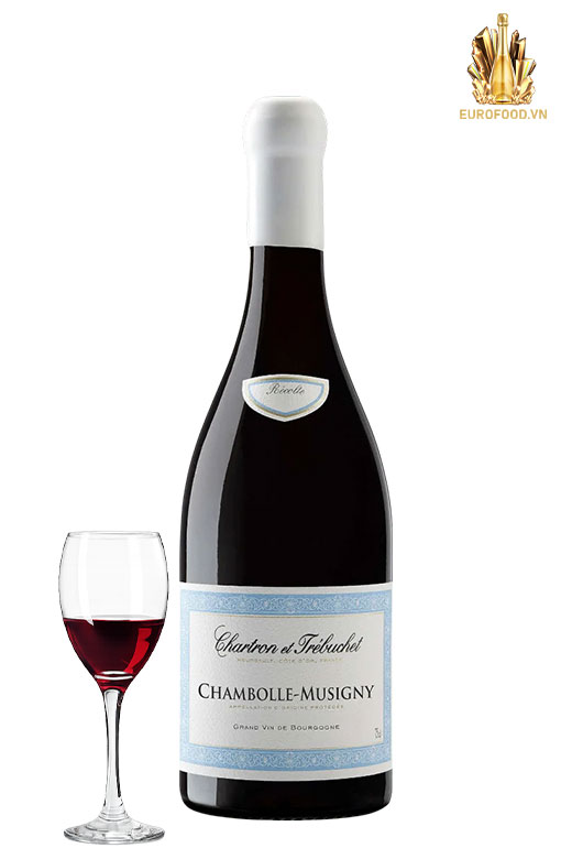 Chartron et Trébuchet Chambolle-Musigny – vẻ đẹp tinh tế của Burgundy Chartron et Trébuchet Chambolle-Musigny – vẻ đẹp tinh tế của Burgundy