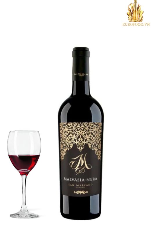 M Malvasia Nera 2024